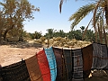 Oasi di Siwa_14